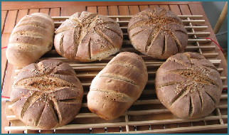 Aus dem Holzbackofen: 4 Roggenmischbrote und 2 Weizenbrote, mit Sauerteig, ohne Hefe Aus dem Holzbackofen: 4 Roggenmischbrote und 2 Weizenbrote, mit Sauerteig, ohne Hefe